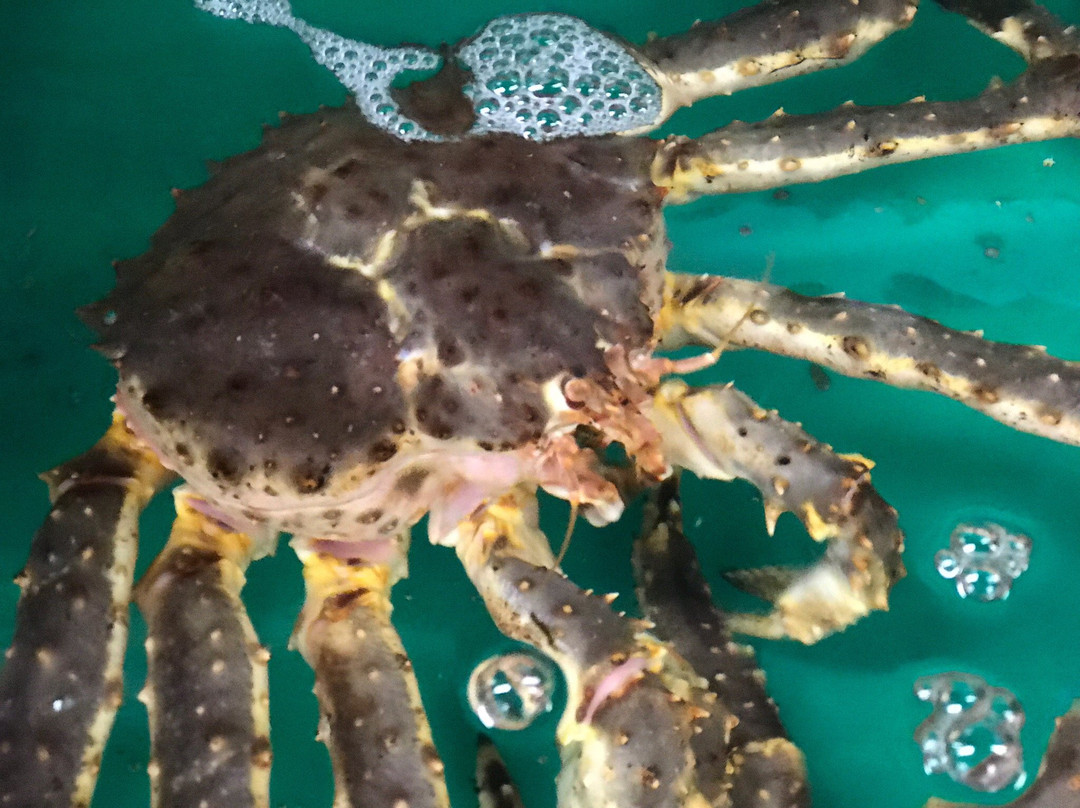 Kani Goten Shop-白老町必去景点