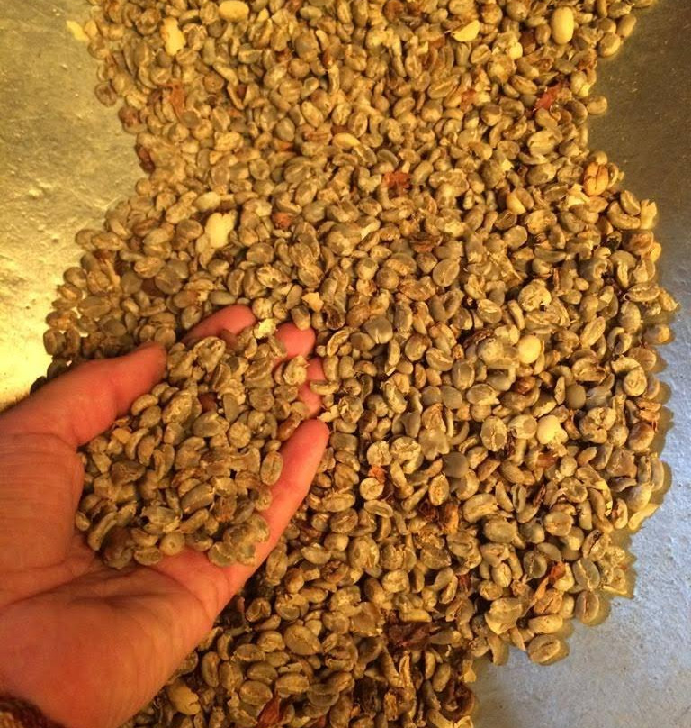 Quiero Viajar Co-Cocora必去景点