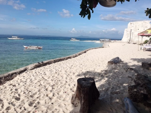 薄荷岛的黎明住宿加早餐旅馆主图