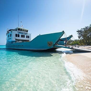 Curtis Island National Park and Regional Park-Gladstone必去景点