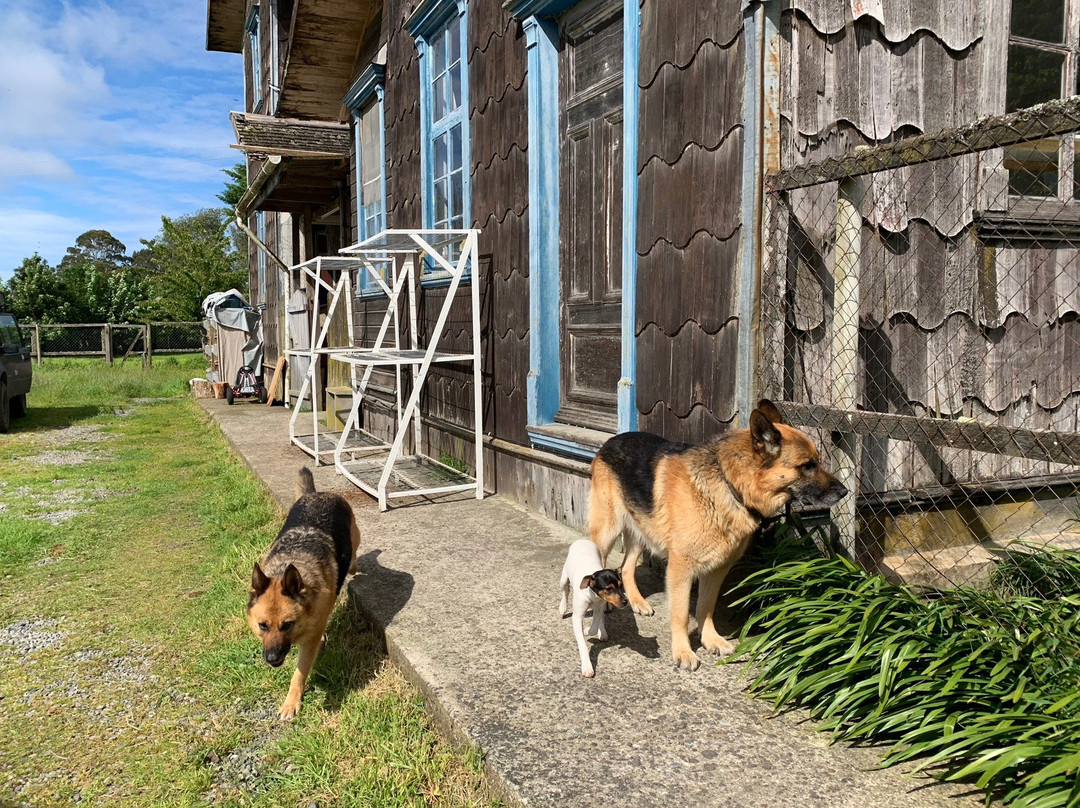 Casona Alemana主图