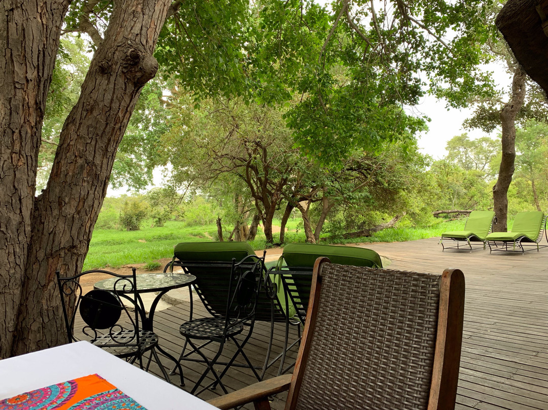 丁斯瓦洛野生动物园主图