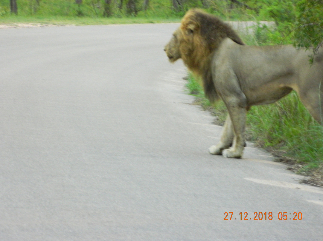 Moyo Wa Tandala Safari景点图片