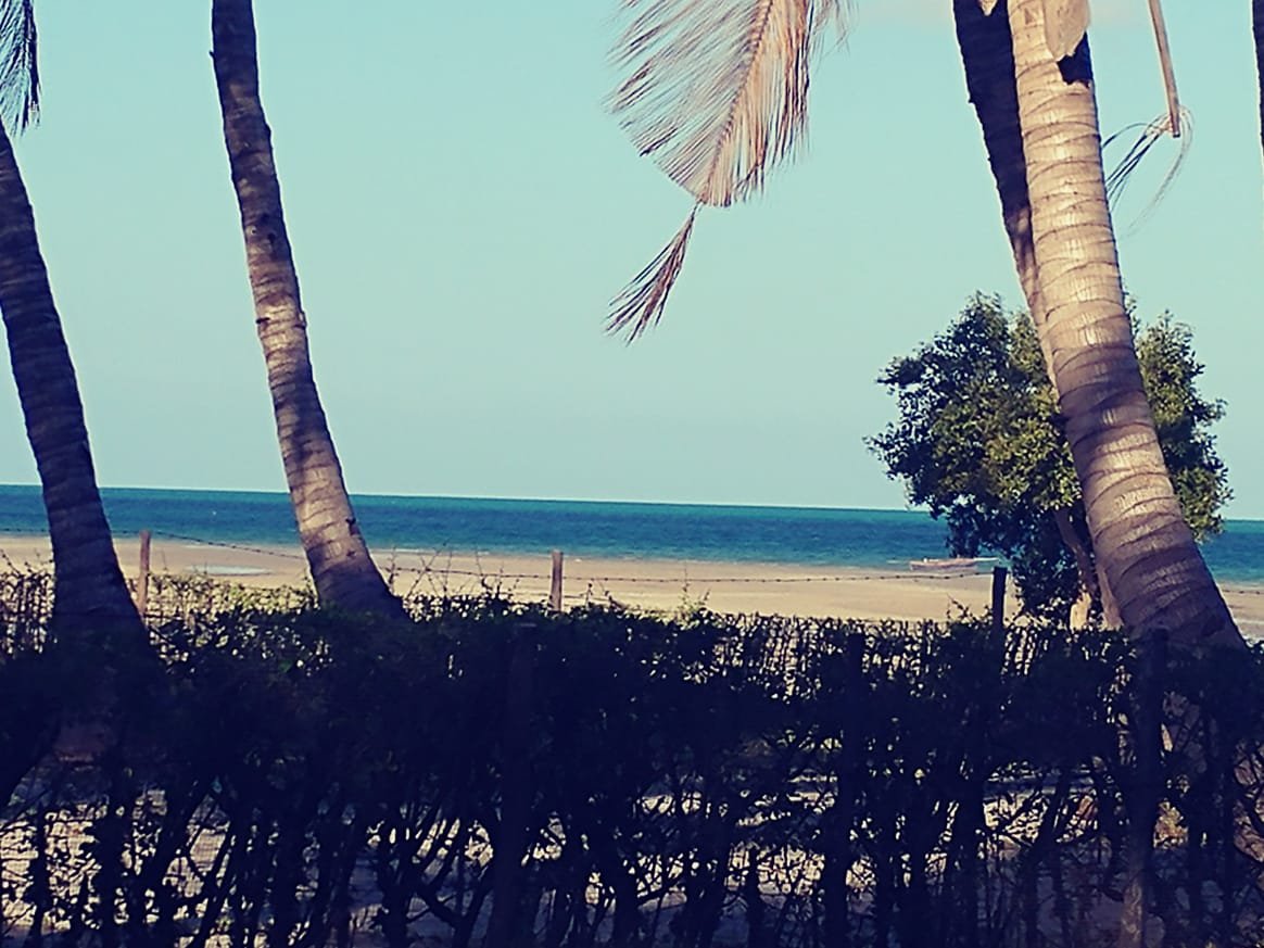 Luke's Place-泳池