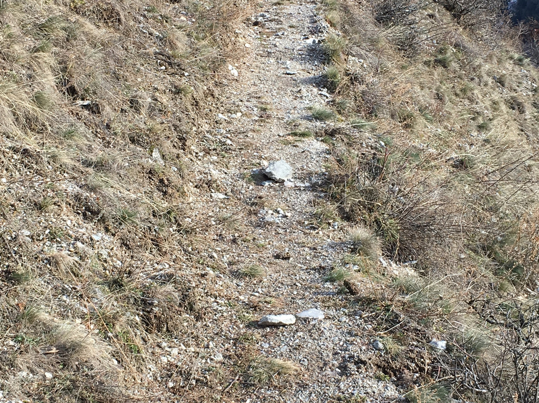 Rovina Rotund e Reichenberg-Tubre必去景点