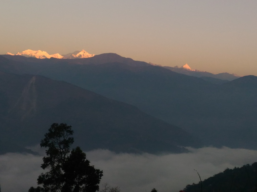 Hotel Aashiyana主图