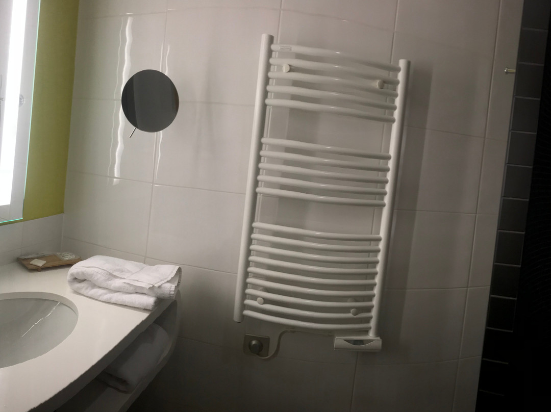 Best Western Plus Hôtel Le Rhénan主图