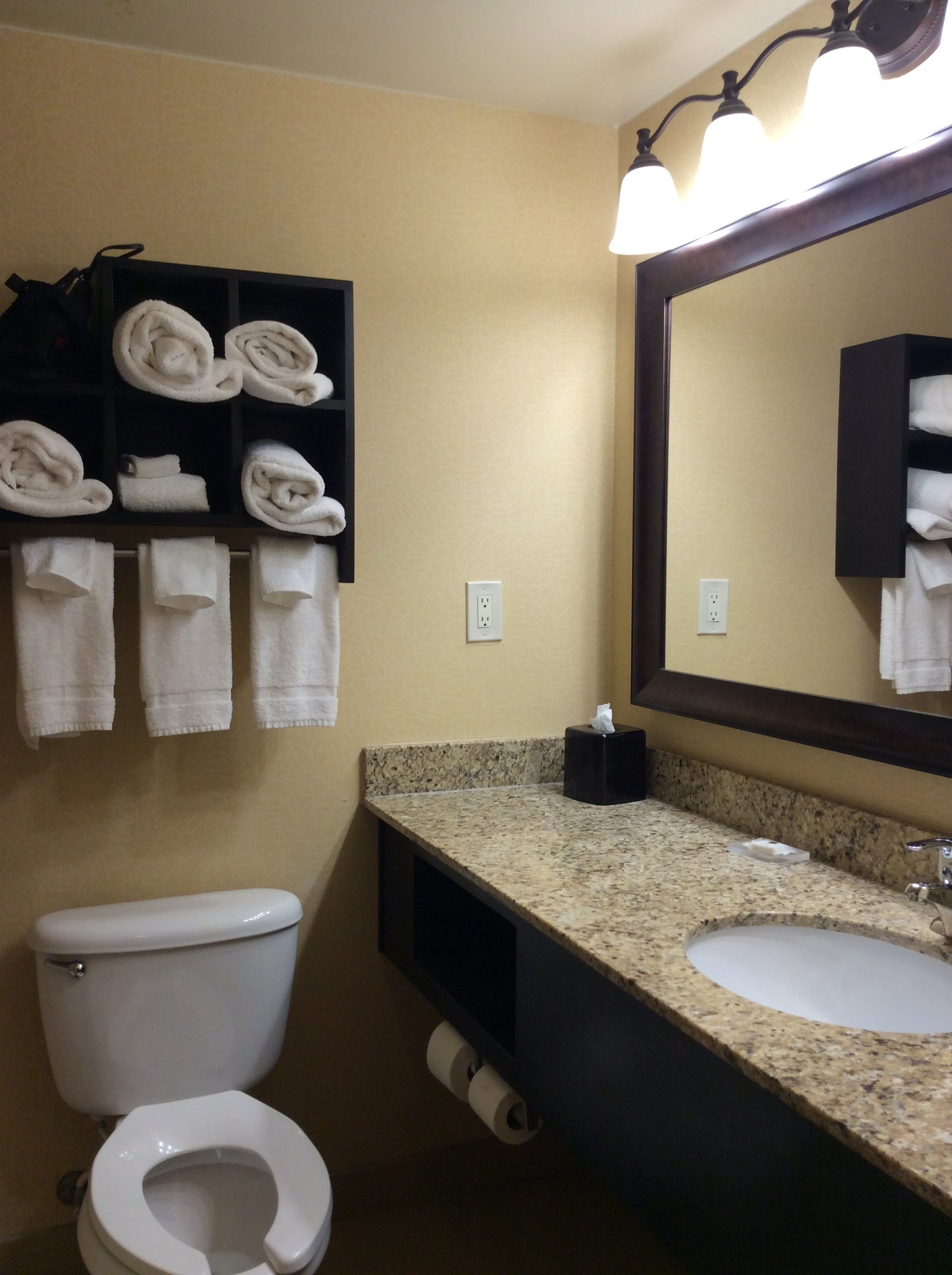Country Inn & Suites by Radisson, Anderson, SC-浴室