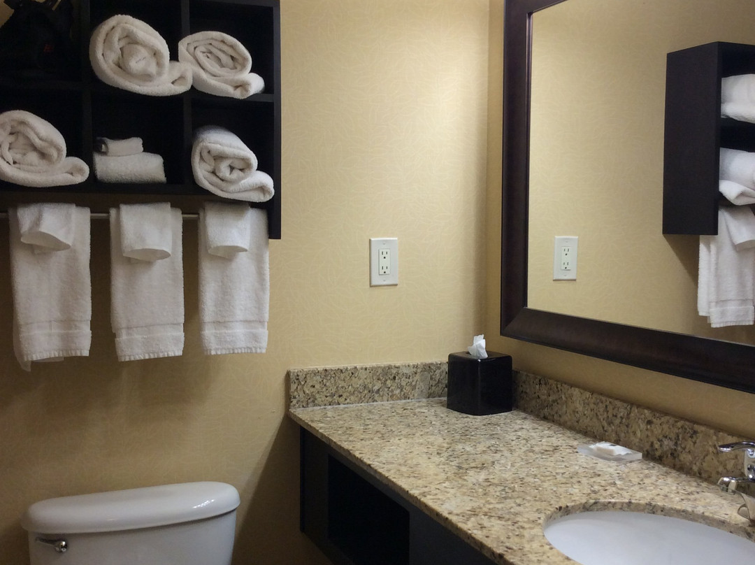 Country Inn & Suites by Radisson, Anderson, SC主图