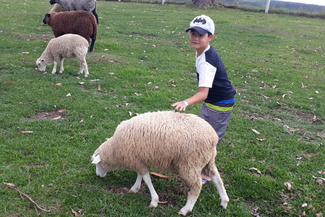 Sesc Pousada Rural em Lages主图