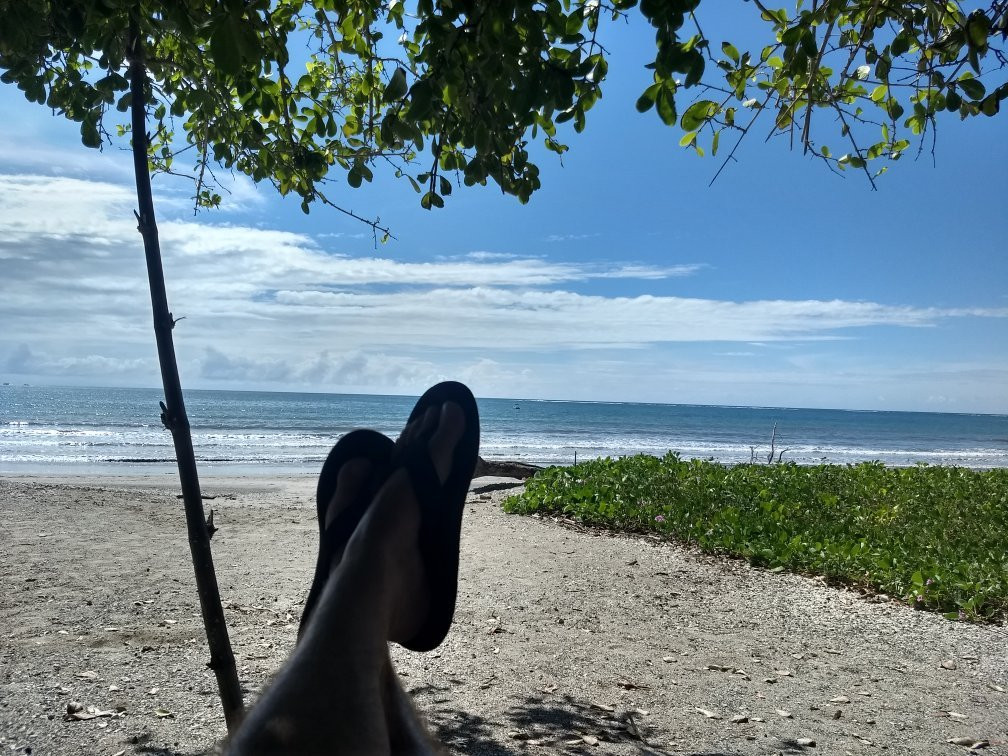 Driftwood Beachfront Casitas