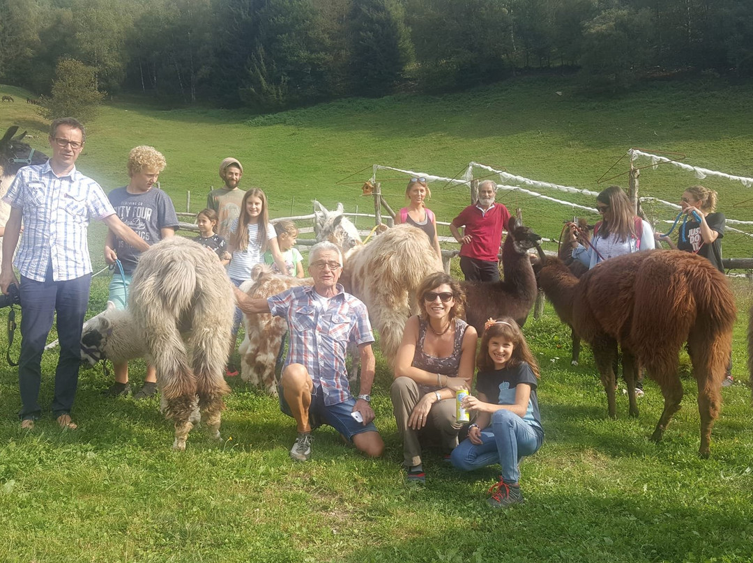 Passeggiata con i Lama-Blessagno必去景点