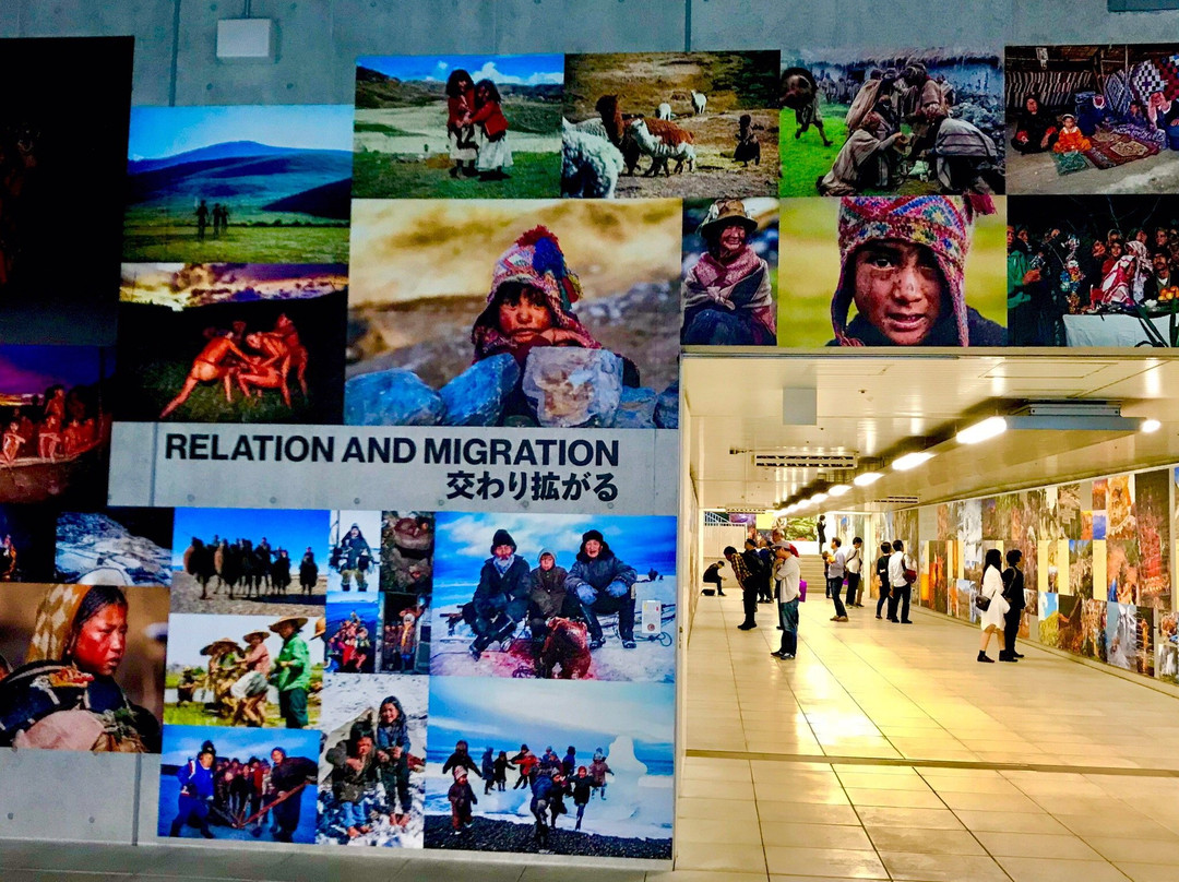 Musashino Art University-小平市必去景点