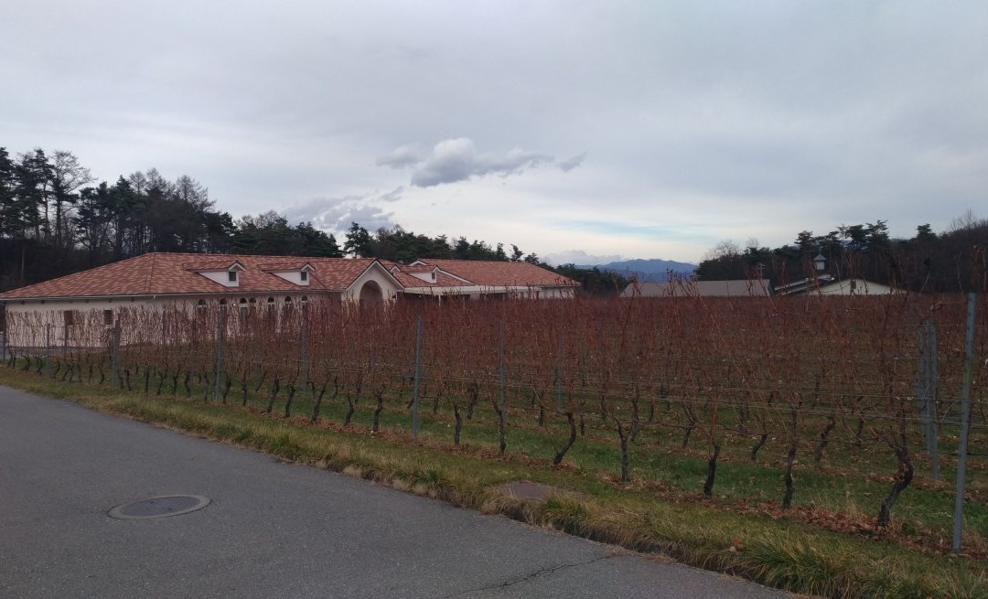 Azumino Winery景点图片