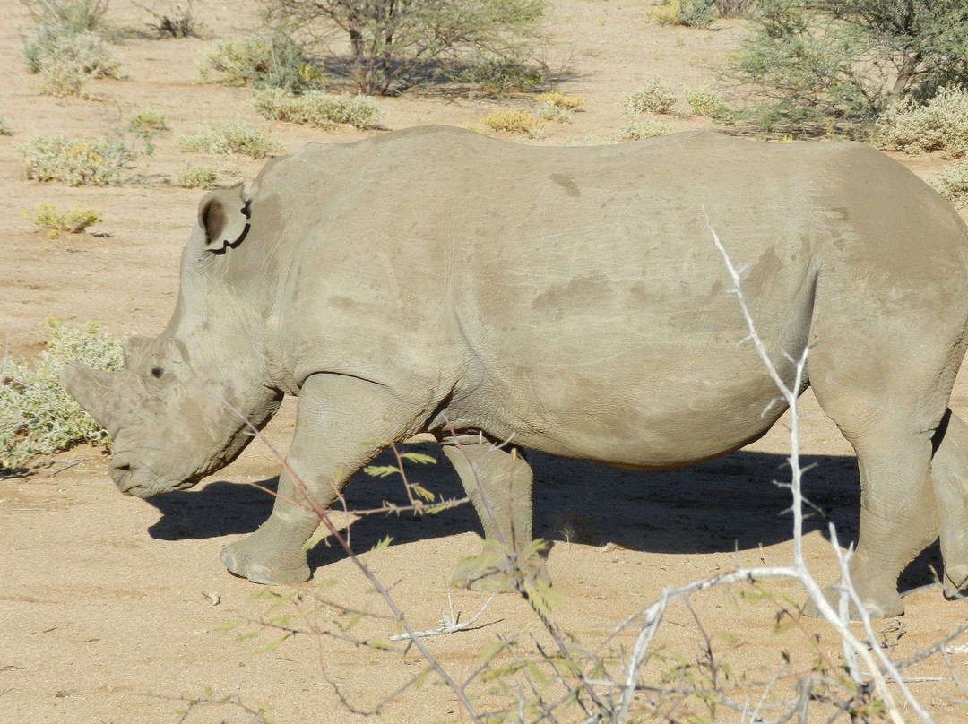Erindi Game Reserve-Omaruru必去景点
