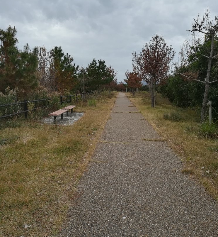 Awaji Sano Sports Park-淡路市必去景点