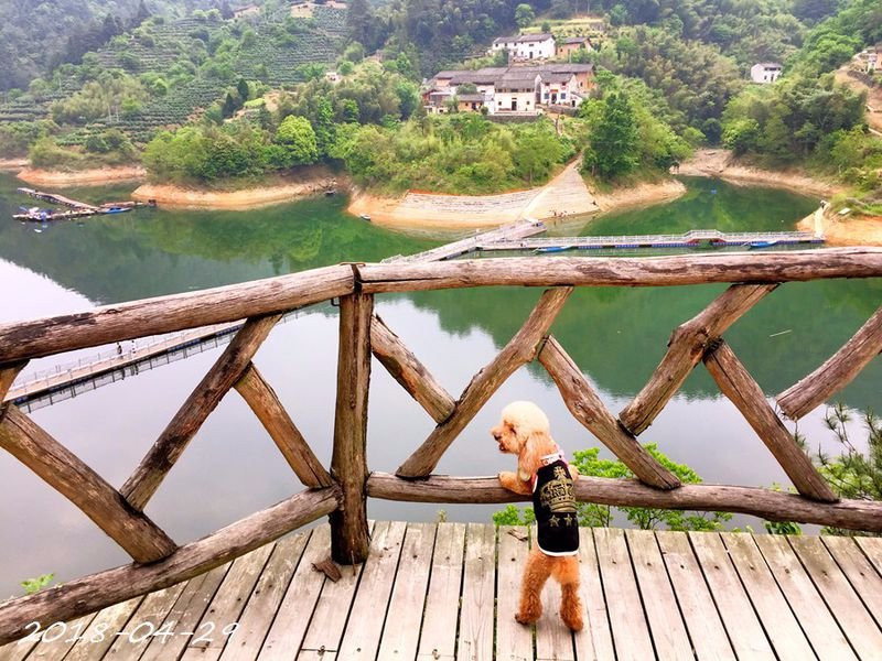 黄山丰乐湖风景区-黄山市必去景点