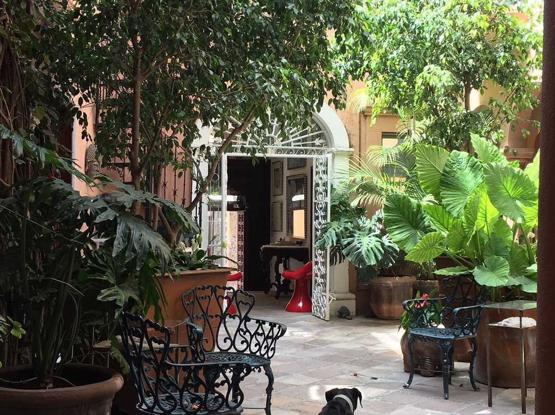 Galeria Casa Diana-圣米格尔护城必去景点