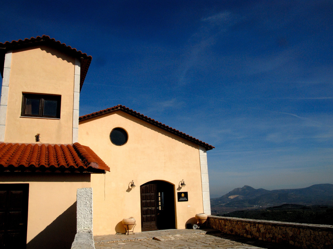Lafkioti Winery-Nemea必去景点