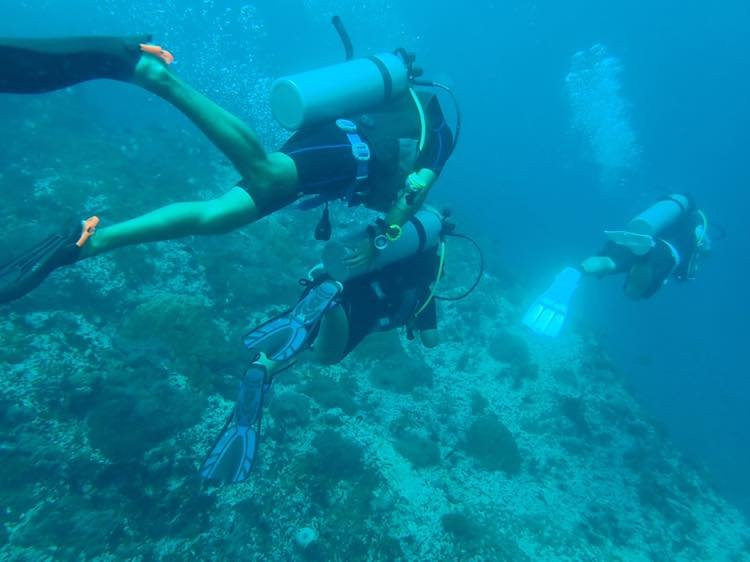 Diving Professional景点图片
