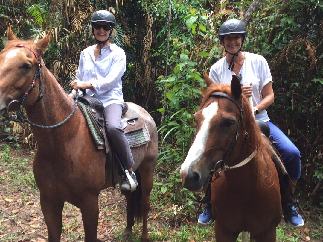 Reinsdown Horse Riding-Tully必去景点