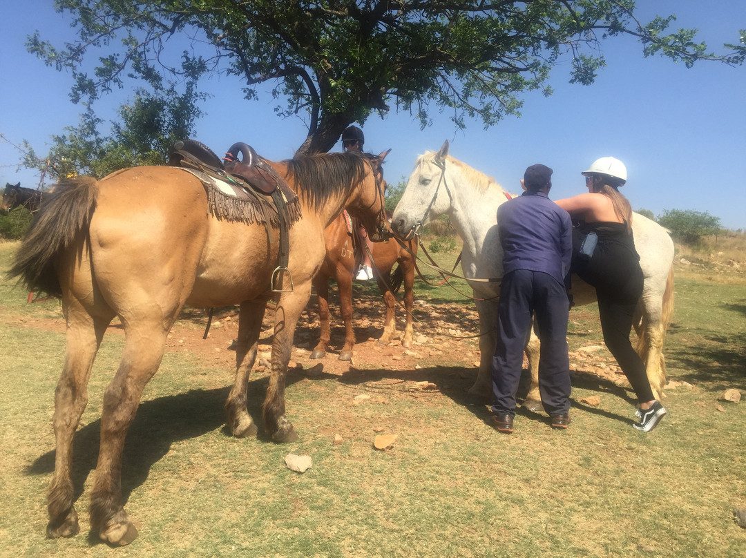 African Horse Safaris景点图片