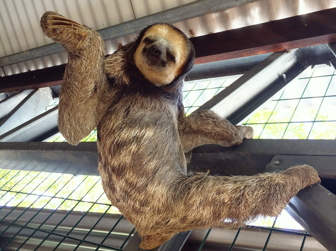 Association Chou Ai-Macouria必去景点