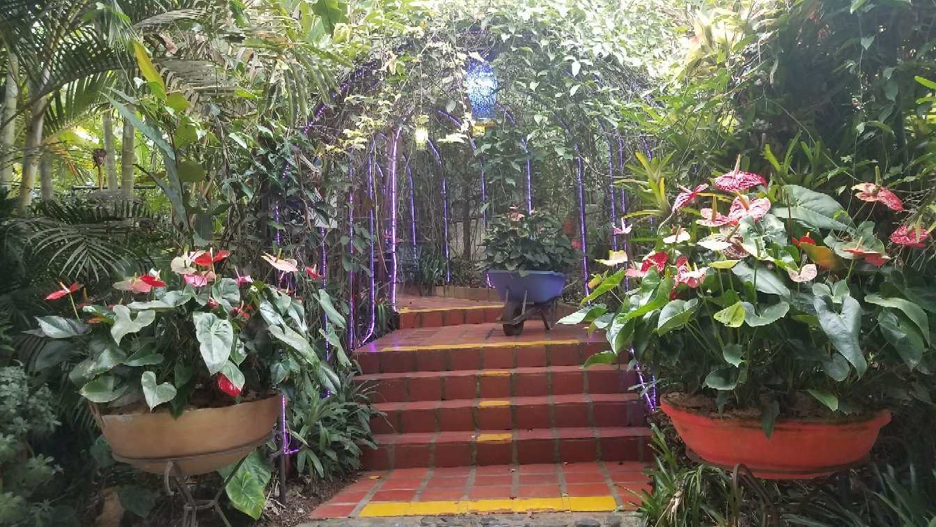 Hotel Ecoturistico Balcon de las Heliconias-官方
