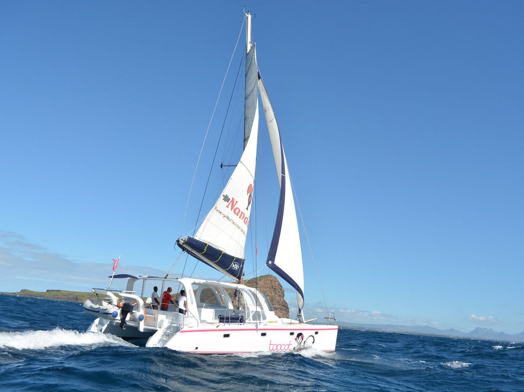 TOPCAT Cruises-大湾必去景点