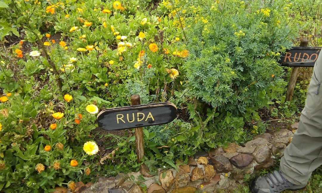 Granja Aromatica Los Aromos-Limache必去景点