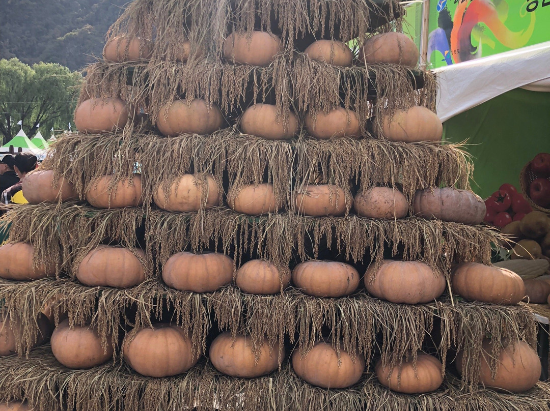 Jeongseon Arirang Festival-旌善郡必去景点