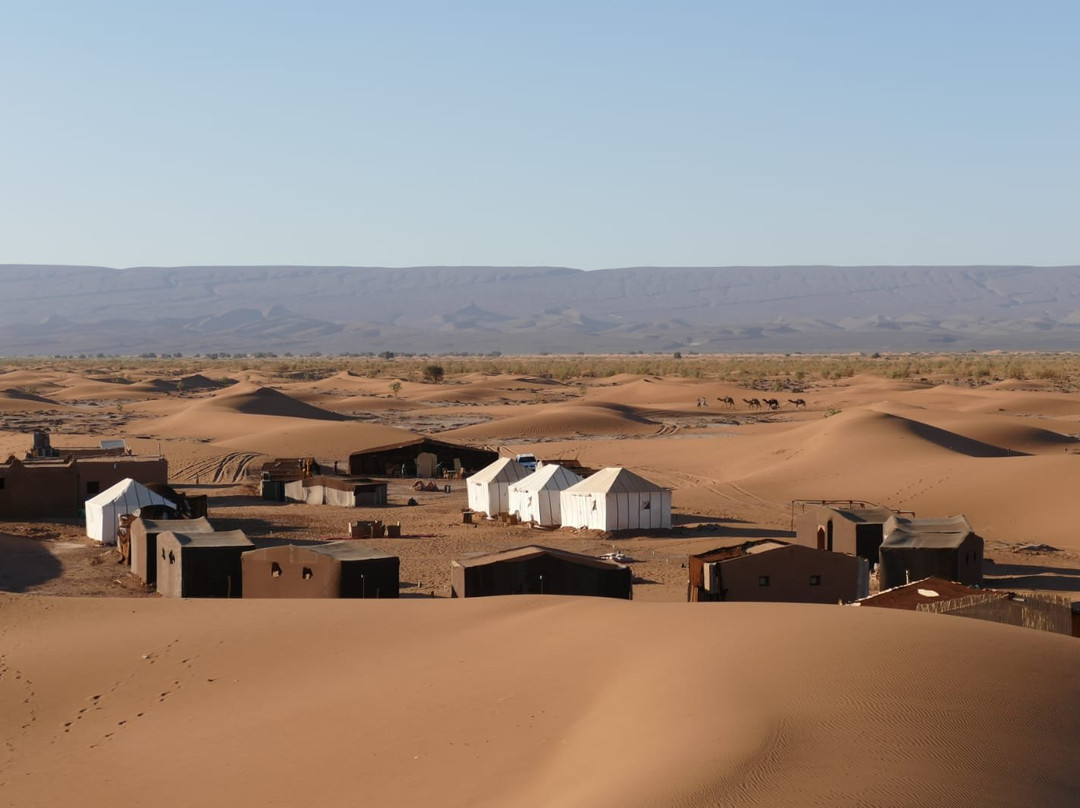 Sahara Wonders景点图片