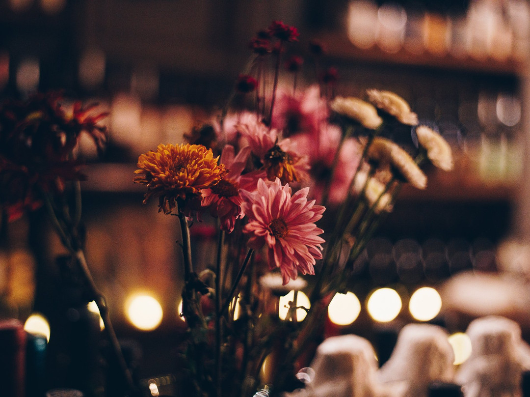 1853 The Wine Experience-布宜诺斯艾利斯必去景点