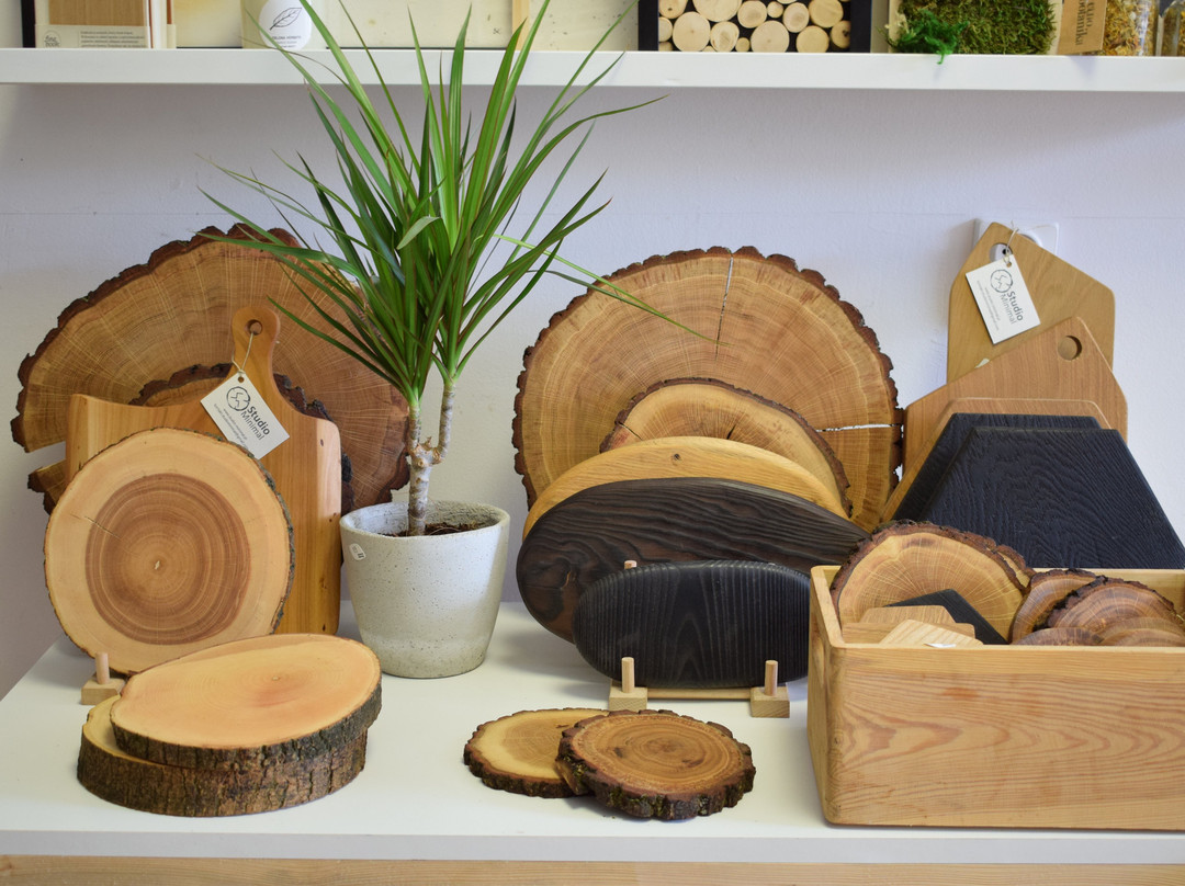 Natura Rzeczy-弗罗茨瓦夫必去景点