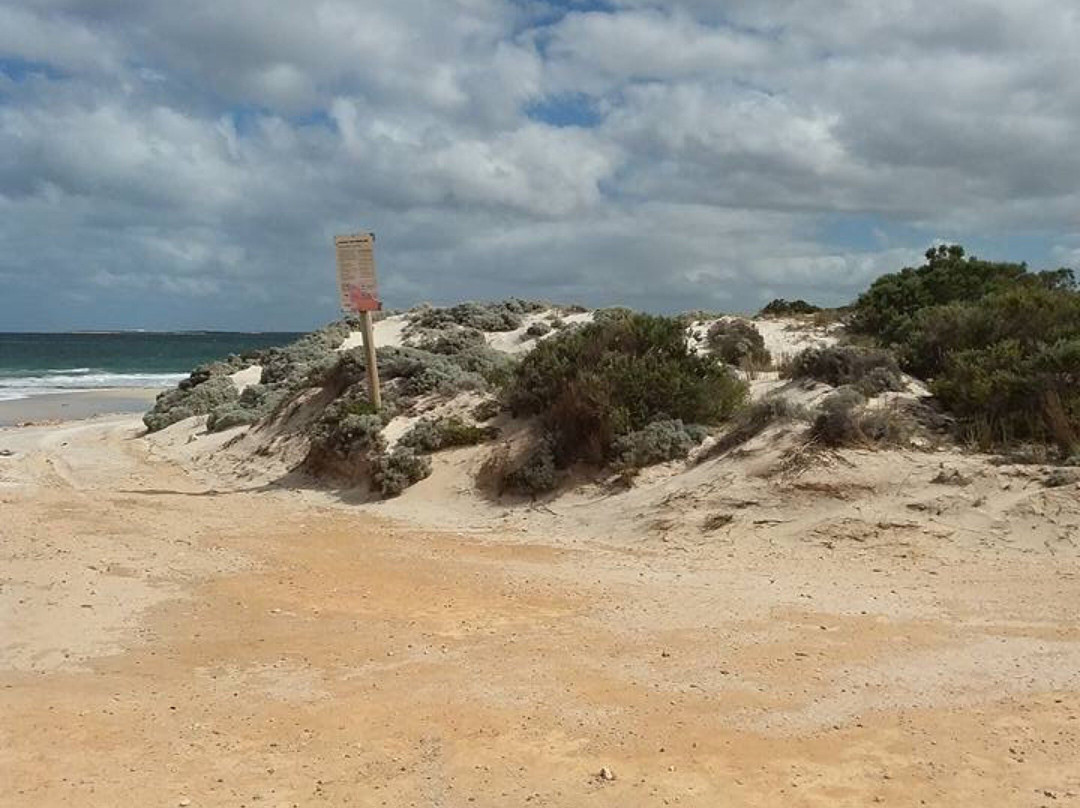 Redbanks Beach-Arno Bay必去景点