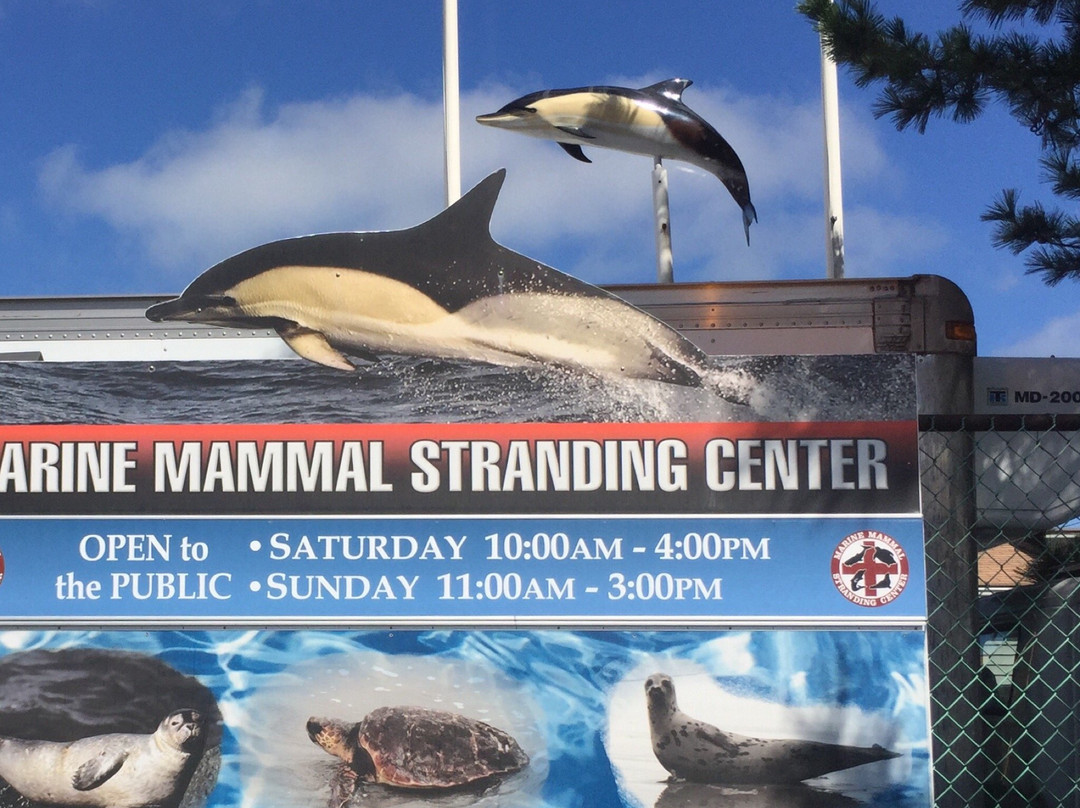 Marine Mammal Stranding Center景点图片