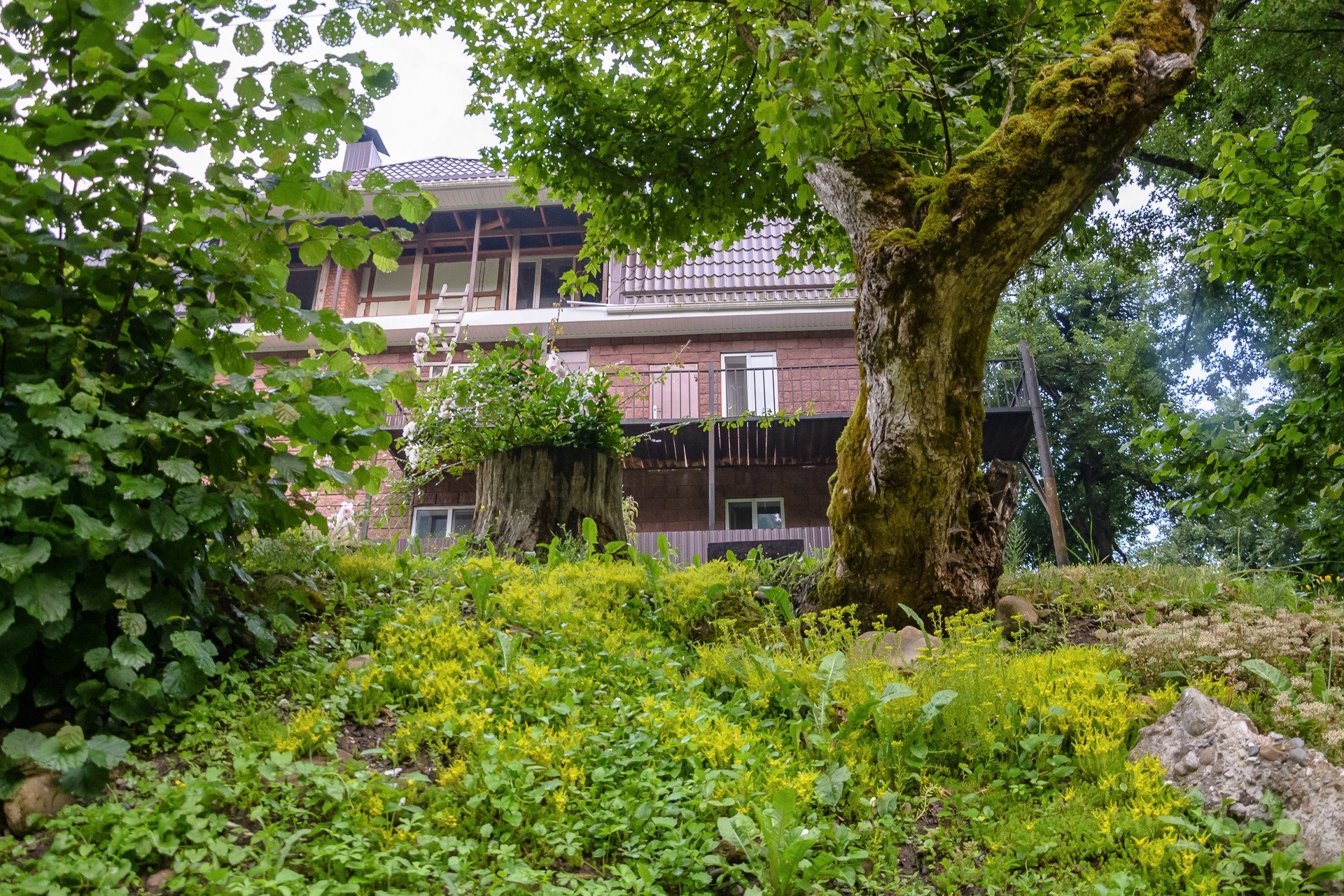 Guest House Zurada-浴室