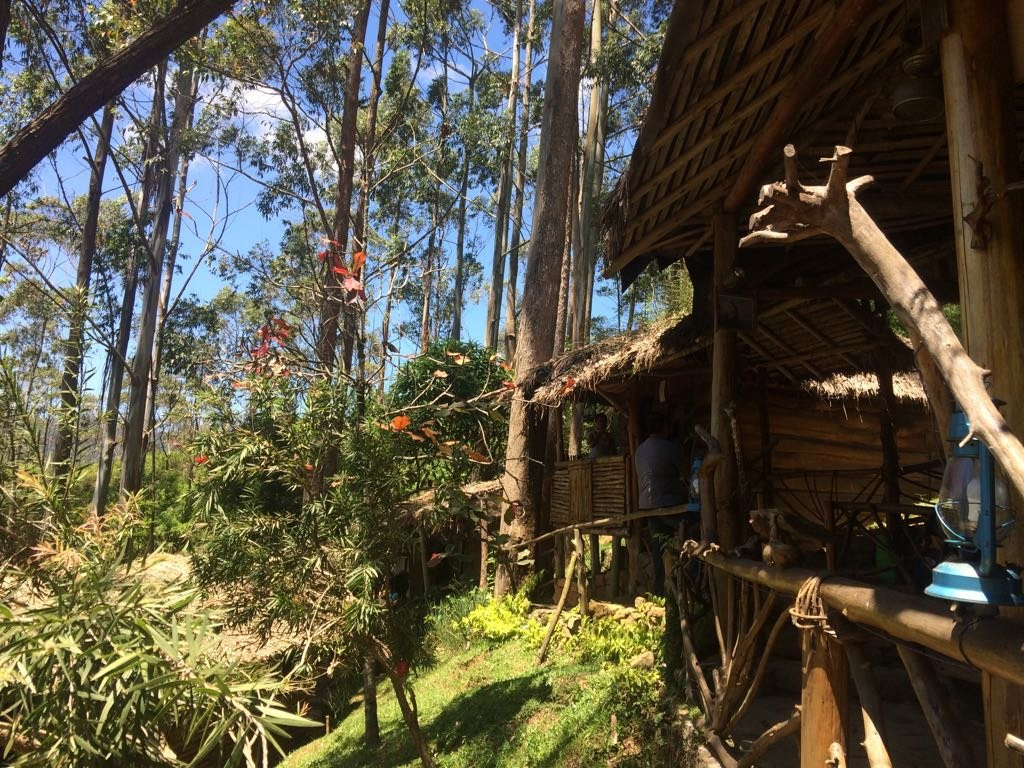 老鹰小木屋旅馆