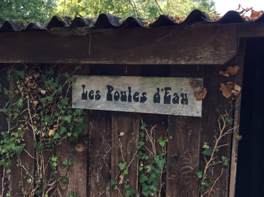 Reserve Naturelle Marais De Bruges景点图片
