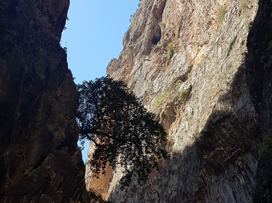 Oludeniz Excursions - Day Tours-厄吕代尼兹必去景点