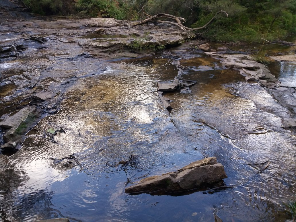 Wildlife Tours Australia-悉尼必去景点