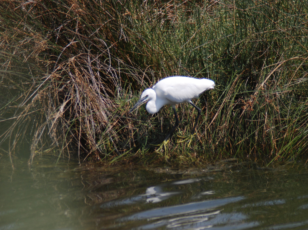 East Macedonia and Thrace National Park Information center景点图片