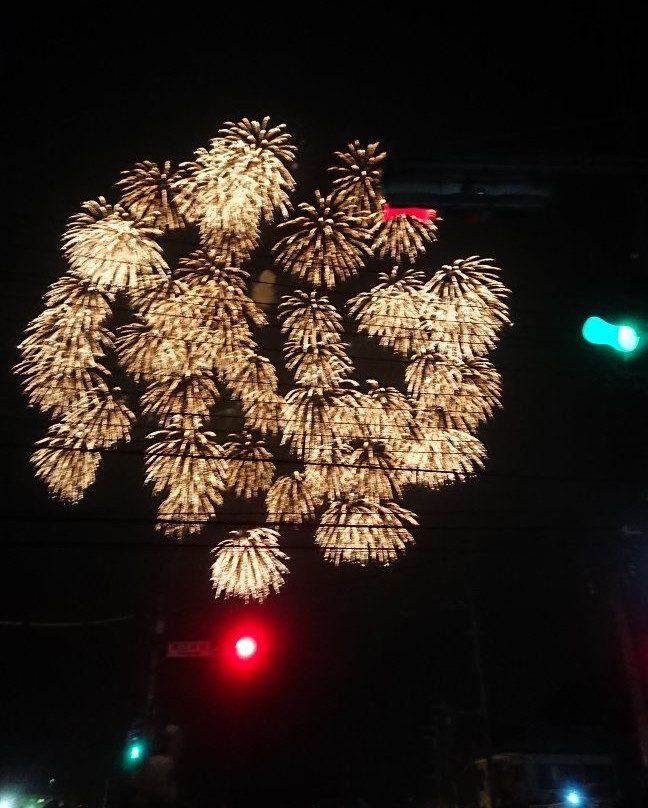 Sakura City Fireworks-佐仓市必去景点