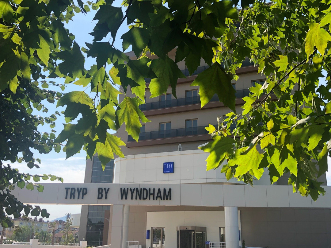 Tryp by Wyndham Izmit主图