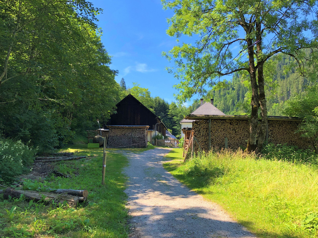 Erlebniswelt Mendlingtal景点图片