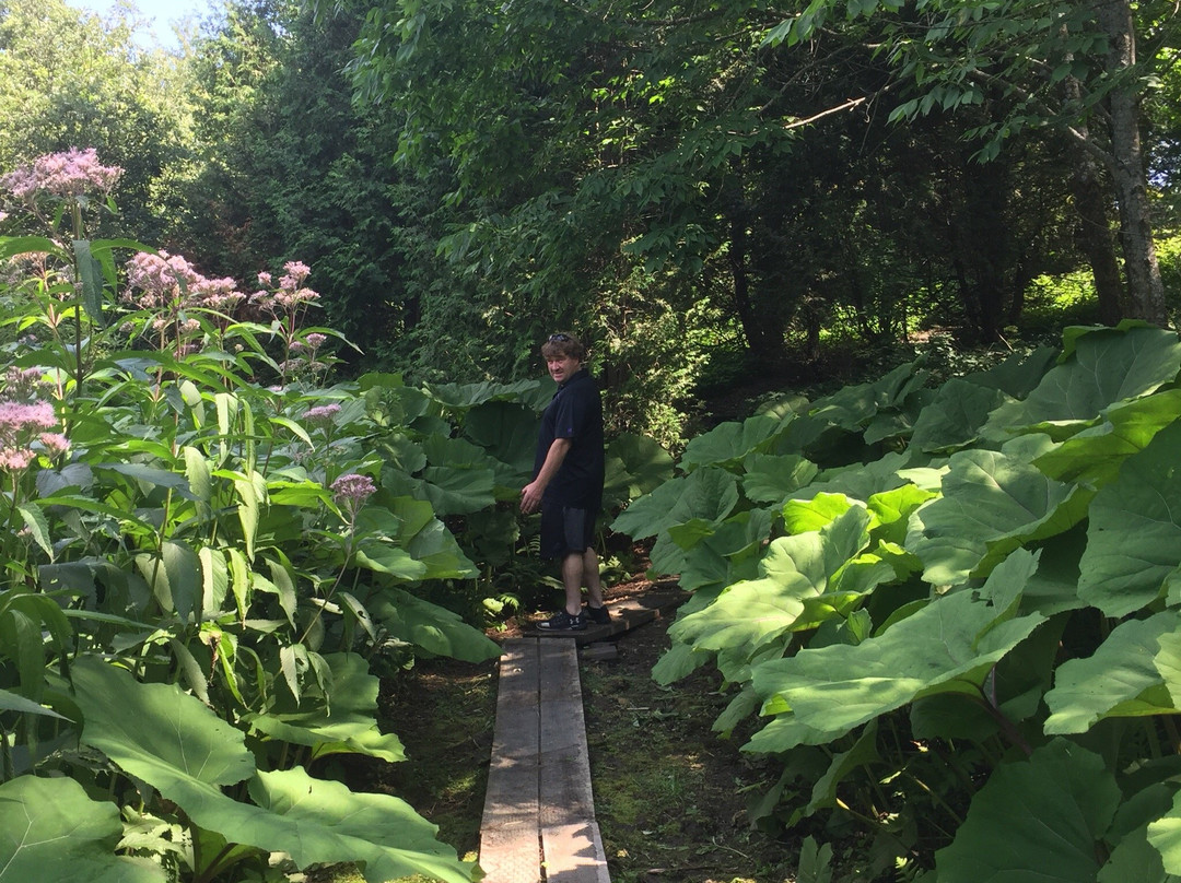 Les jardins de vos rêves景点图片