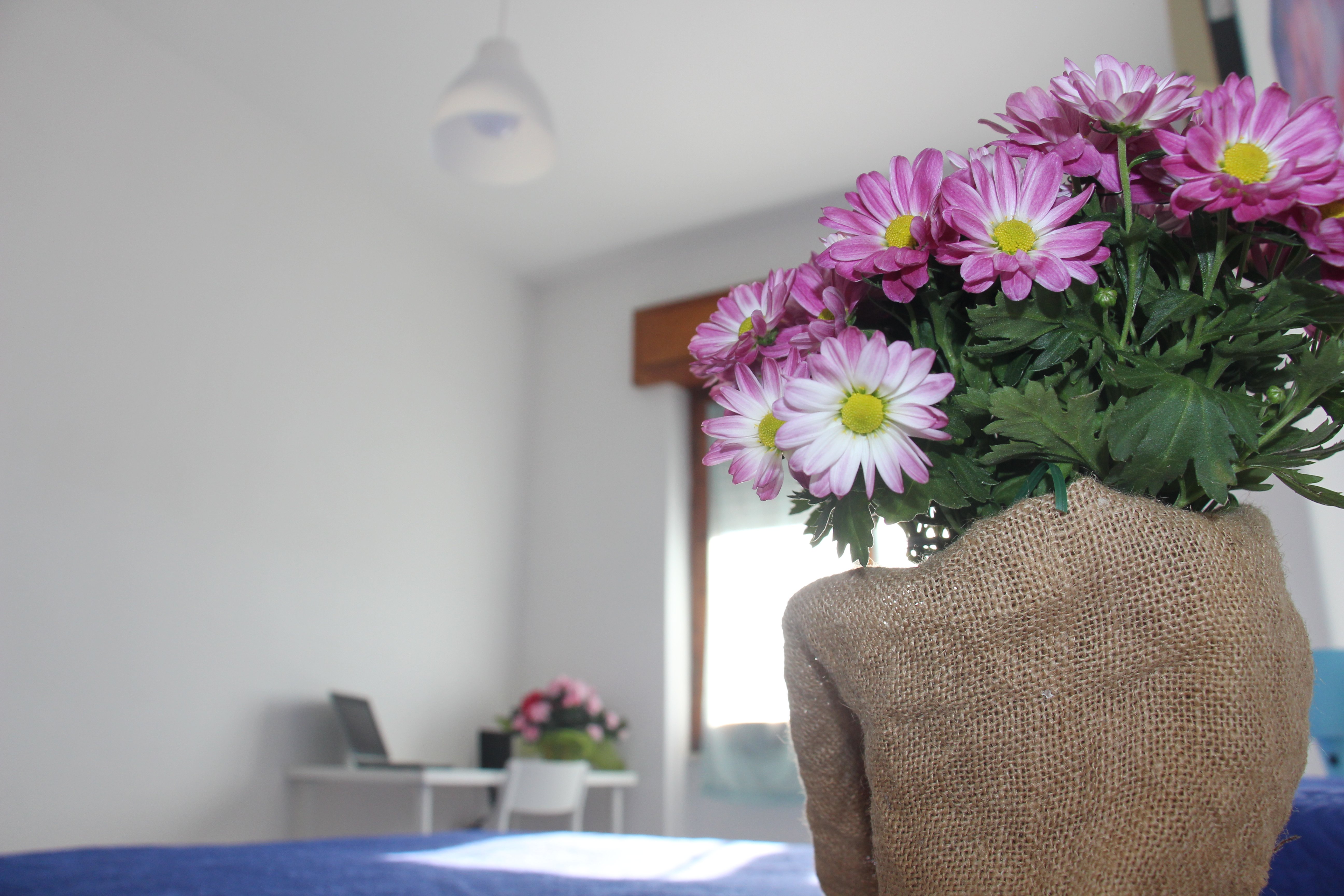 B&B Gottardo-官方