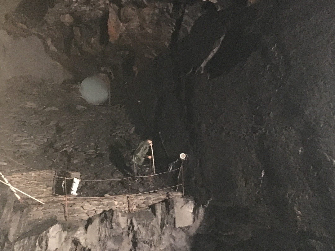 Fell旅游攻略图片