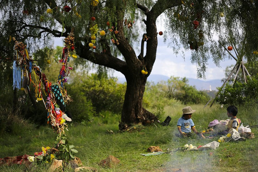 Sustainable Bolivia景点图片