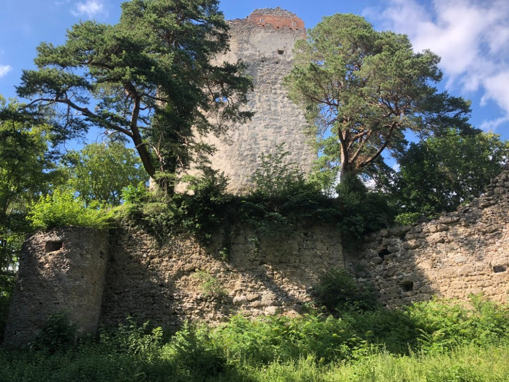 Bodman-Ludwigshafen旅游景点-Alt-Bodman